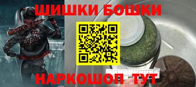 крисы Будённовск