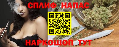 крисы Будённовск