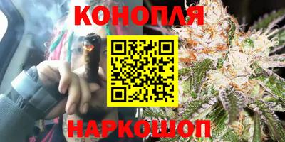 крисы Будённовск