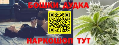 крисы Будённовск