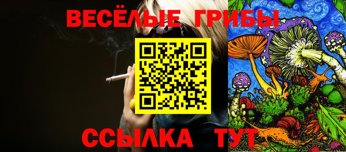 Псилоцибиновые грибы ЛСД Татарск