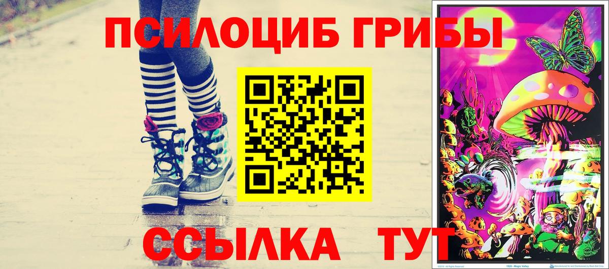 продажа наркотиков  Вход с VPN  Татарск  Псилоцибиновые грибы GOLDEN TEACHER 