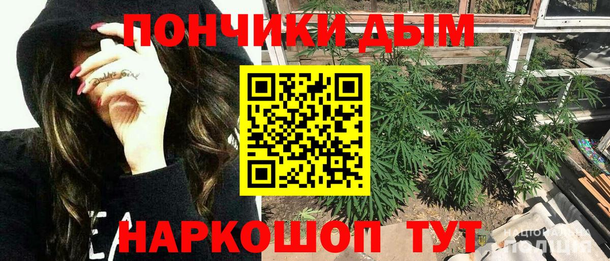 Бошки марихуана Amnesia  Бошки Шишки план  Вход с VPN  Марихуана Amnesia  Татарск  МАРИХУАНА ГИДРОПОН 